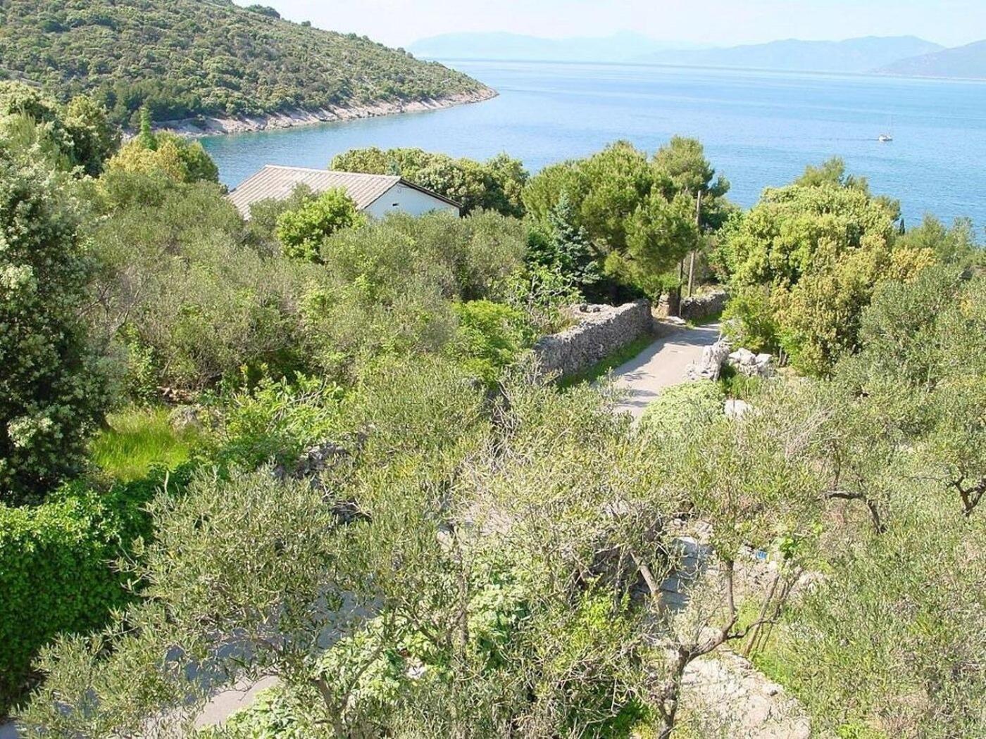 Apartments Griv - Close To The Sea Valun Exterior photo